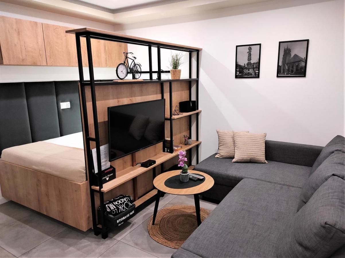 Apartamenty Marianska 103 Racibórz エクステリア 写真