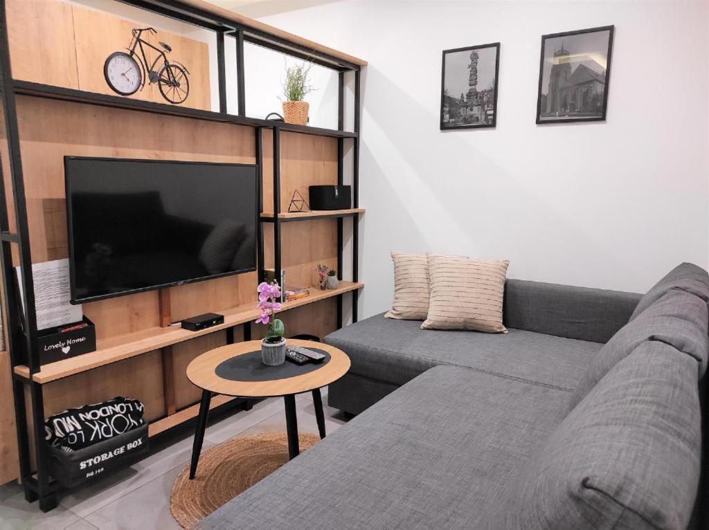 Apartamenty Marianska 103 Racibórz エクステリア 写真
